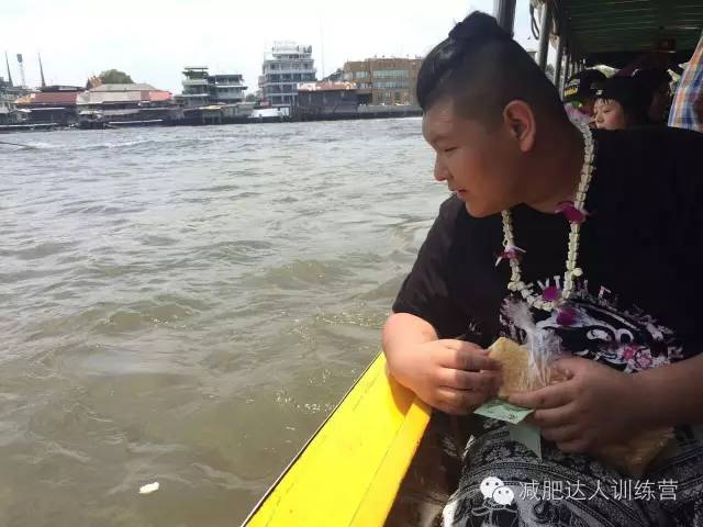 湄公河喂食鱼